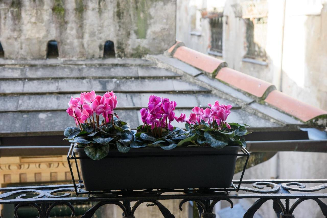 Piccoli Leoni Gênes